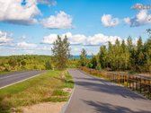 Kuršių Nerijos pusiasalyje, Juodkrantėje - nuotraukos Nr. 11