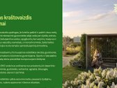 Pavasariai - Naujos Kartos Vilniaus - nuotraukos Nr. 30
