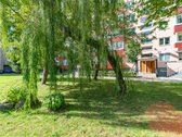 Jaukus, tvarkingas butas žalioje, ramioje - nuotraukos Nr. 17