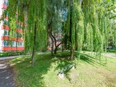 Jaukus, tvarkingas butas žalioje, ramioje - nuotraukos Nr. 18