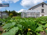 Erdvus Sodo Namas Su 12 A Sklypu Gamtos - nuotraukos Nr. 25