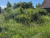 Gyvenamasis namas su žemės sklypu ir - nuotraukos Nr. 29
