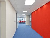 Išnuomojamos labai gerai įrengtos 169.07 m² - nuotraukos Nr. 4