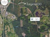 Miškų apsupty parduodamas 98.75 arų žemės - nuotraukos Nr. 5