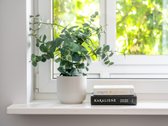 2 Kambarių Butas Antakalnyje  Žaluma  - nuotraukos Nr. 4