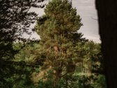 Naujiena rinkoje: reta galimybė turėti - nuotraukos Nr. 9
