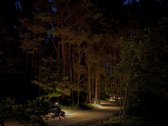 Naujiena rinkoje: reta galimybė turėti - nuotraukos Nr. 11