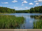 Parduodamas sklypas Vilniuje, Didžiuosiuose - nuotraukos Nr. 5
