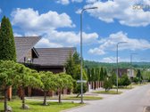 Miškingame dešiniajame Neries vingyje, - nuotraukos Nr. 21