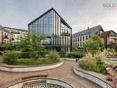 Parduodami aukščiausius kokybės reikalavimus - nuotraukos Nr. 3