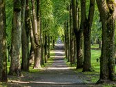 Pačioje Naujamiesčioje pradžioje, keliolika - nuotraukos Nr. 17