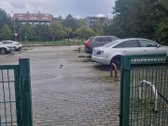 1 K. Butas Palangoje – Apie 700 M Iki Jūros, - nuotraukos Nr. 19