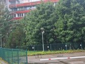 1 K. Butas Palangoje – Apie 700 M Iki Jūros, - nuotraukos Nr. 17