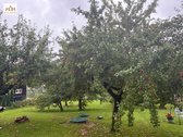 Parduodamas Sodo Namas SB „berželis“, - nuotraukos Nr. 25