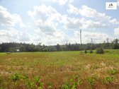 Parduodamas erdvus 40a namų valdos sklypas - nuotraukos Nr. 5
