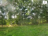 Parduodamas erdvus 40a namų valdos sklypas - nuotraukos Nr. 13
