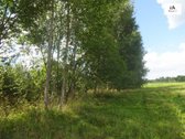 Parduodamas erdvus 40a namų valdos sklypas - nuotraukos Nr. 19
