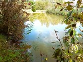 Parduodamas Tvarkingas 183 m² namas su 18 a - nuotraukos Nr. 60