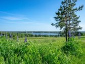 Parduodamas 48,42 a namu valdos sklypas - nuotraukos Nr. 9