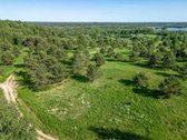 Parduodamas 48,42 a namu valdos sklypas - nuotraukos Nr. 14