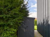 Nuomojamas Naujai Įrengtas 4 Kambarių - nuotraukos Nr. 3