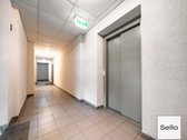  – Nt ekspertai be procentų - nuotraukos Nr. 18