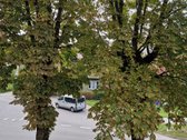 Erdvus Butas Žaliakalnyje Prie Centro - nuotraukos Nr. 32