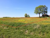 Parduodami du sklypai Vėžaičių miestelyje, - nuotraukos Nr. 11