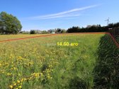Parduodami du sklypai Vėžaičių miestelyje, - nuotraukos Nr. 12