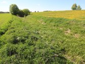 Parduodami du sklypai Vėžaičių miestelyje, - nuotraukos Nr. 15
