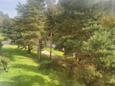 Tik Atvirų Durų Dieną – Galimybė Susitarti - nuotraukos Nr. 4