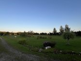 Parduodama jauki sodyba gražioje ir - nuotraukos Nr. 6