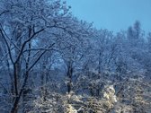 Nekilnojamo turto brokerių paslaugos nedomina - nuotraukos Nr. 26