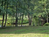 Ant smėlėtos Srovės upės kranto, gražiausių - nuotraukos Nr. 5