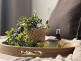 Parduodamas kapitaliai suremontuotas 2 - nuotraukos Nr. 5