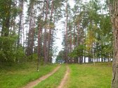 Parduodamas l.gražus 7.64 ha žemės sklypas su - nuotraukos Nr. 4