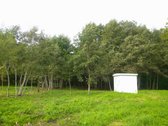 Parduodamas l.gražus 7.64 ha žemės sklypas su - nuotraukos Nr. 12