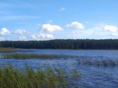 Parduodamas l.gražus 7.64 ha žemės sklypas su - nuotraukos Nr. 20