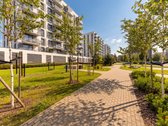 Parduodamas stilingas ir labai šviesus vieno - nuotraukos Nr. 26