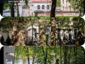 Antakalnyje, Miško Apsupty, 7 Arų Sklype - nuotraukos Nr. 25