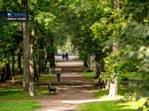 Antakalnyje, Miško Apsupty, 7 Arų Sklype - nuotraukos Nr. 31