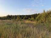 Parduodamas 1.697 Ha Žemės Ūkio Paskirties - nuotraukos Nr. 2