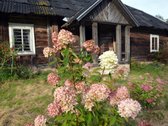 Parduodama rastinė sodyba su geru gyvenamuoju - nuotraukos Nr. 26