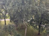 Naujai suremontuotas butas su naujais baldais - nuotraukos Nr. 20