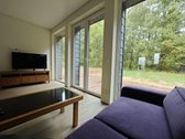 Asfaltuotos Vidines Gayves ,Valstybinis Miskas ! - nuotraukos Nr. 9