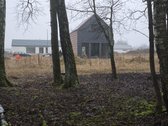 Asfaltuotos Vidines Gayves ,Valstybinis Miskas ! - nuotraukos Nr. 50