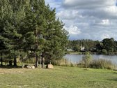 Parduodamas gyvenamas namas šalia pušyno, - nuotraukos Nr. 65