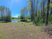 Parduodamas išskirtinis net 170 arų (1,7 ha) - nuotraukos Nr. 2