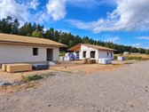 Miško apsuptyje, naujai besiformuojančiame - nuotraukos Nr. 26