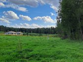 Miško apsuptyje, naujai besiformuojančiame - nuotraukos Nr. 36